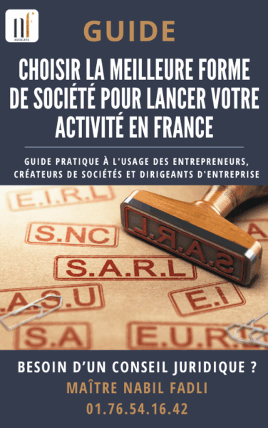 CHOISIR LA MEILLEURE FORME DE SOCIÉTÉ POUR LANCER VOTRE ACTIVITÉ EN FRANCE