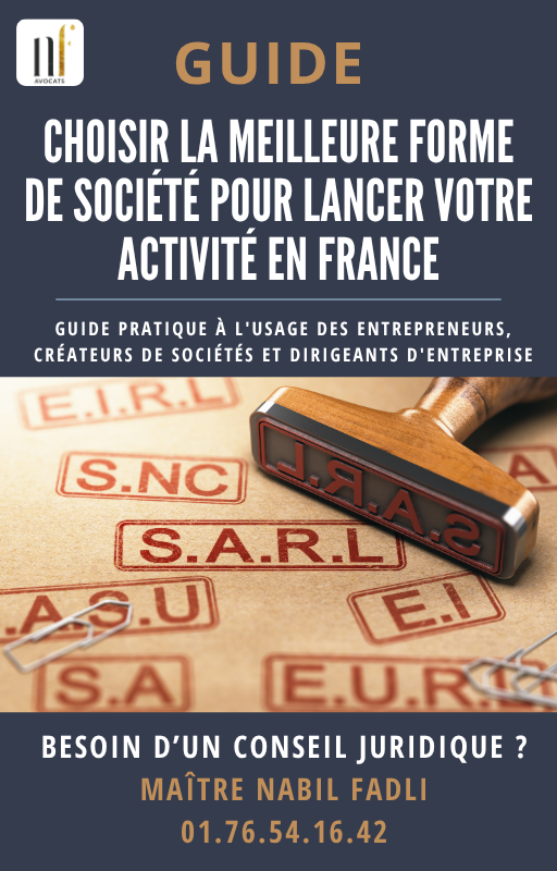CHOISIR LA MEILLEURE FORME DE SOCIĂTĂ POUR LANCER VOTRE ACTIVITĂ EN FRANCE